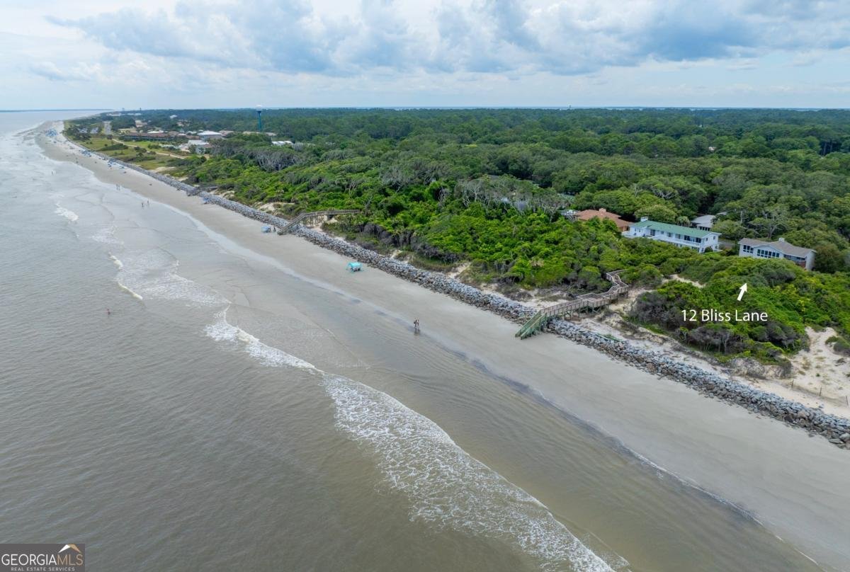 12 Bliss Lane Jekyll Island - Photo 6