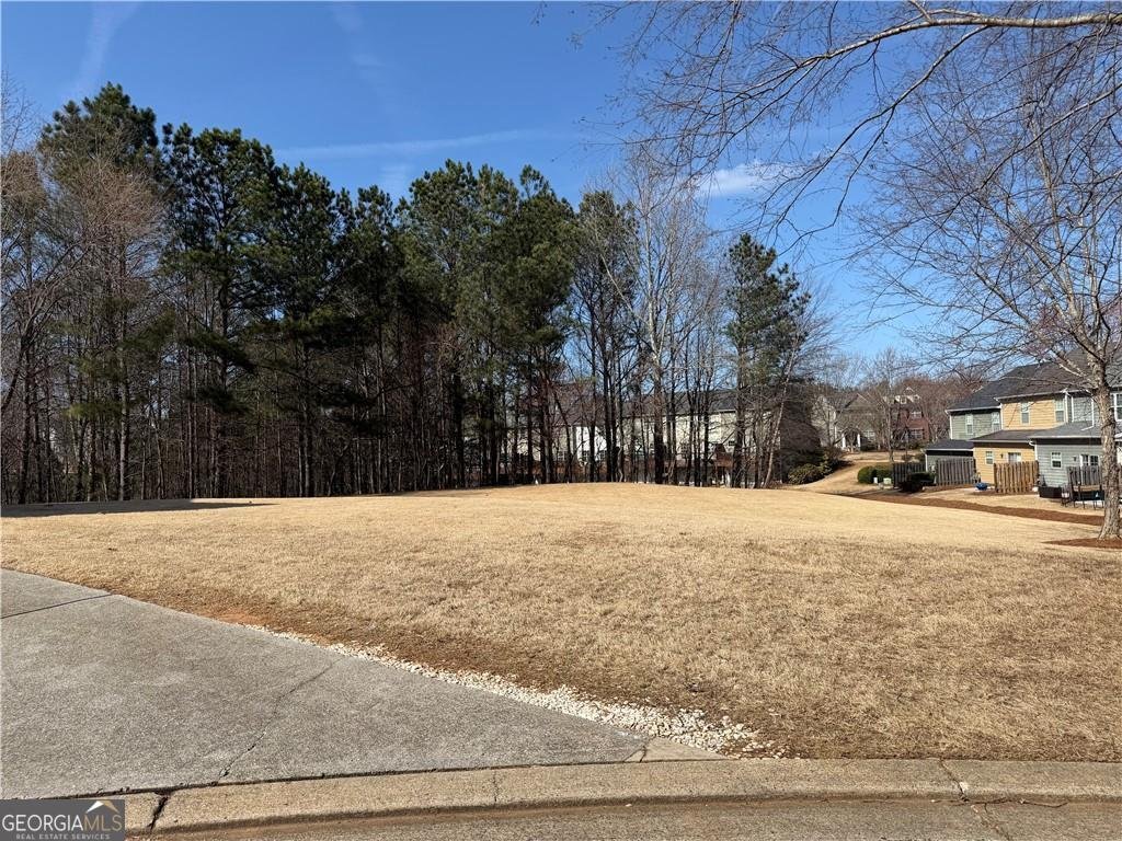 926 Magnolia Leaf Drive Woodstock - Photo 26