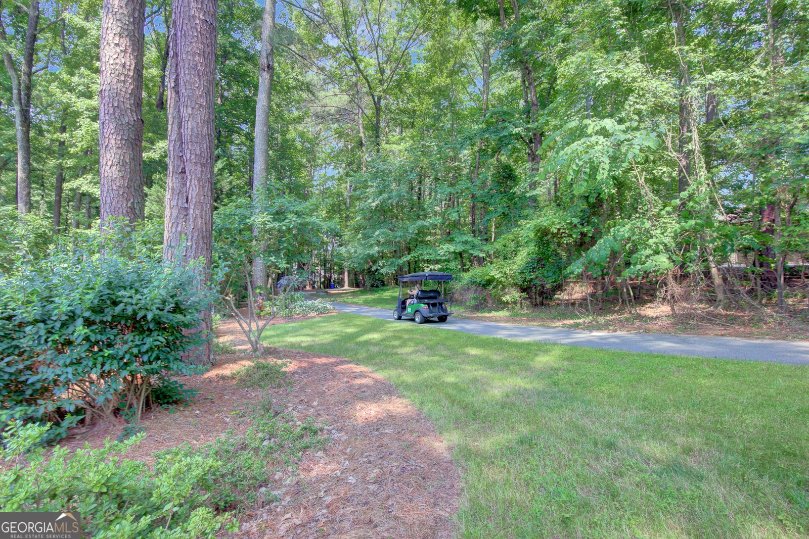157 Rockspray Ridge Peachtree City - Photo 56
