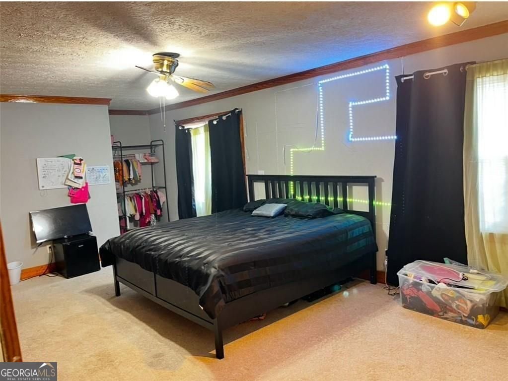 1501 Shoals Creek Drive Conyers - Photo 8