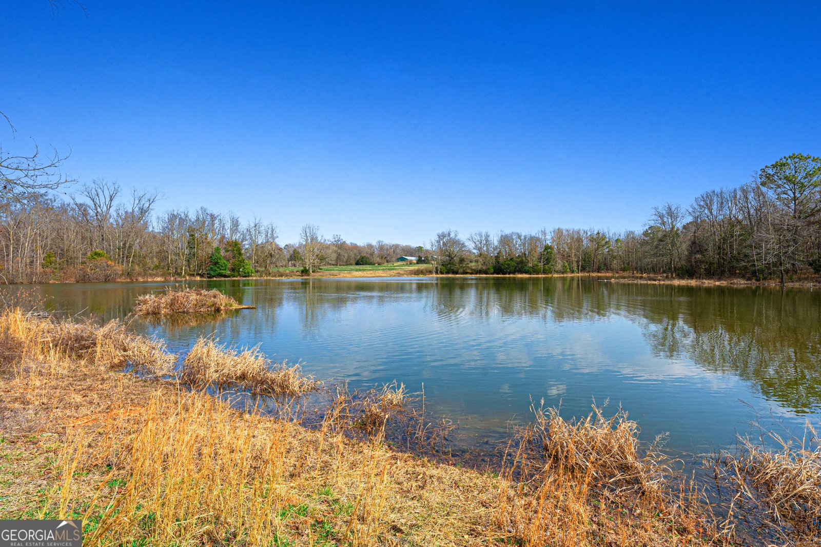 2777 Whippoorwill Trail Hartwell - Photo 31