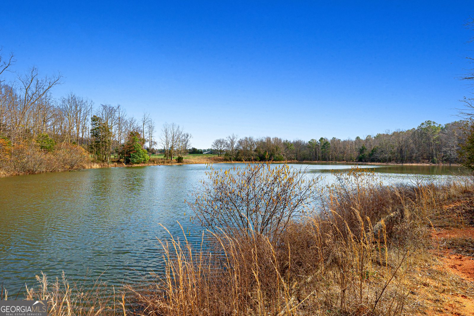 2777 Whippoorwill Trail Hartwell - Photo 32