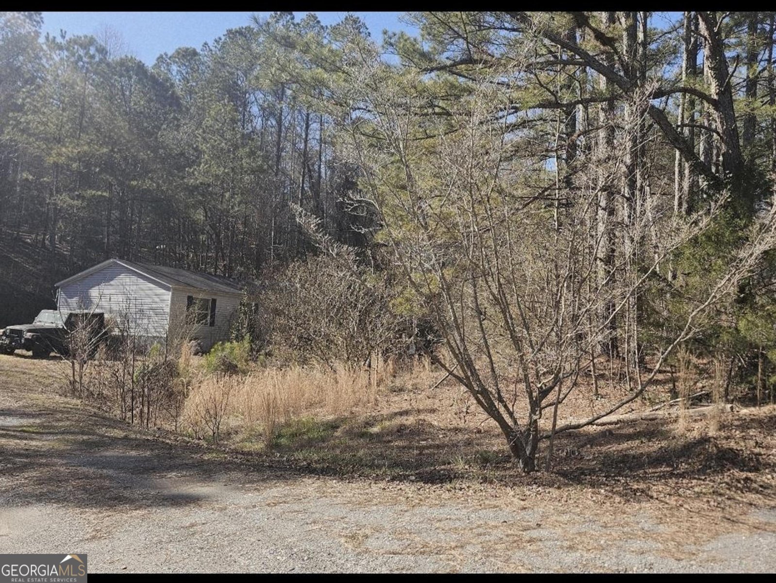 14 Whispering Springs Road Jasper - Photo 6