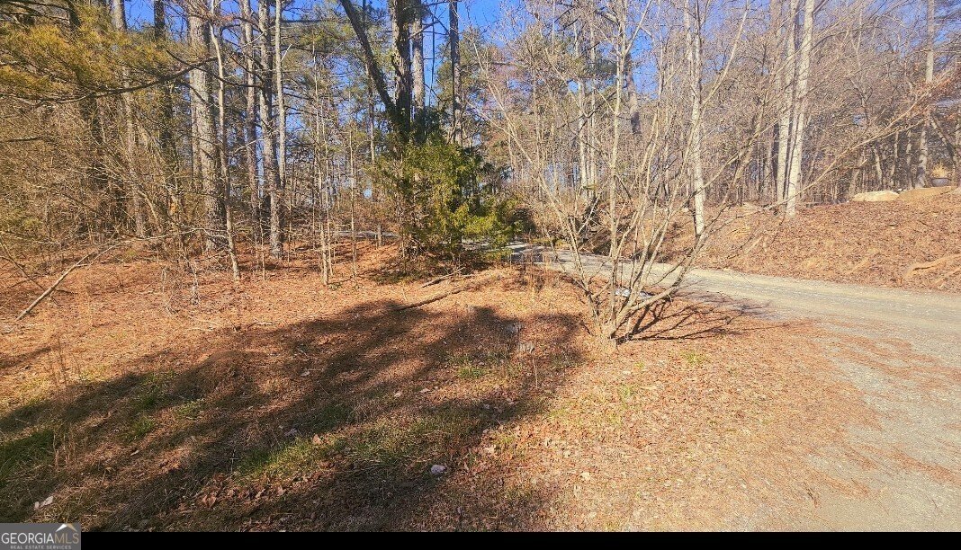 14 Whispering Springs Road Jasper - Photo 7