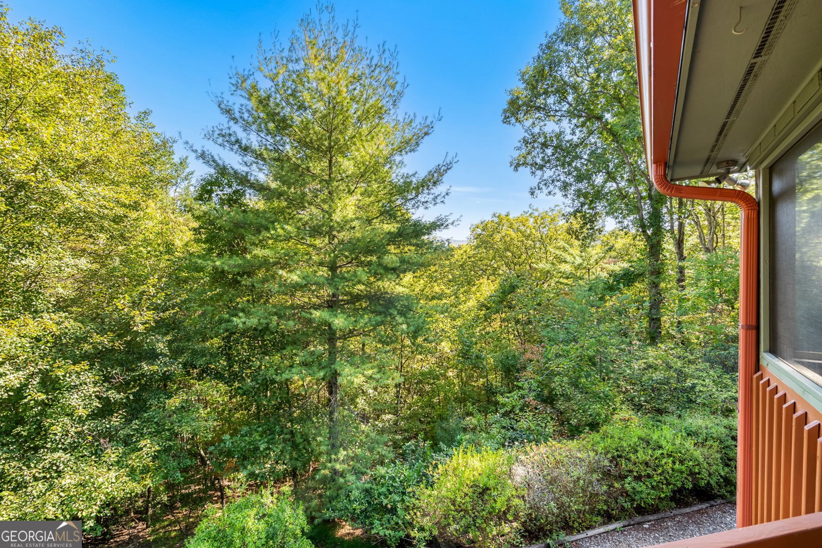 138 Oakwood Trail Mineral Bluff - Photo 35