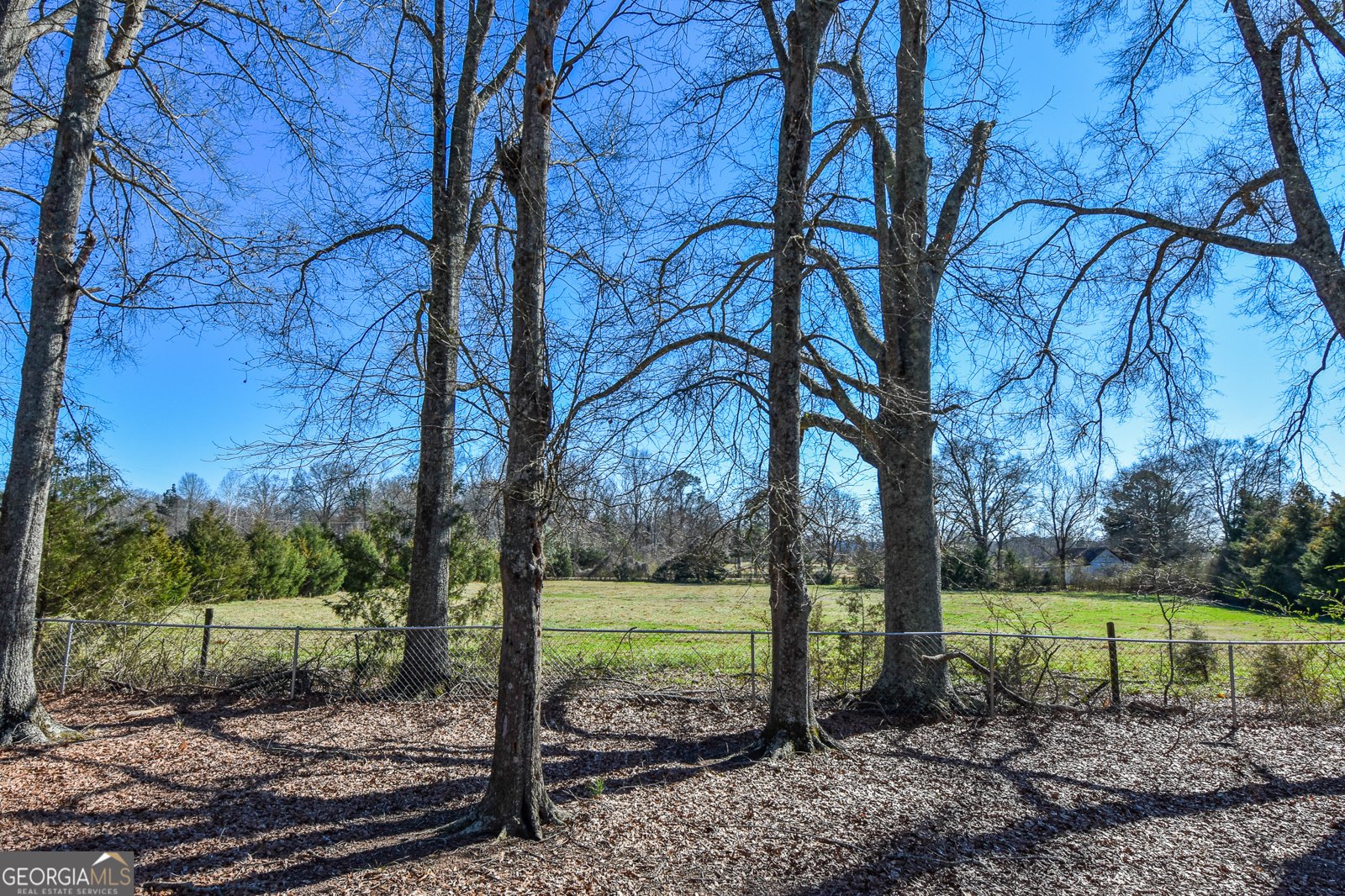 275 Watson Street Molena - Photo 70