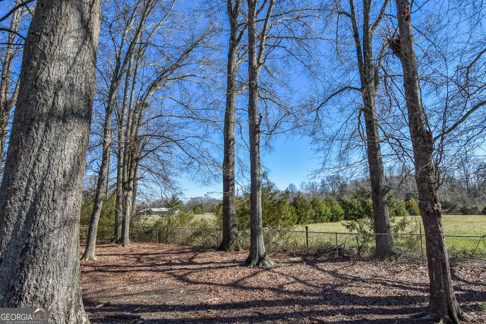 275 Watson Street Molena - Photo 71