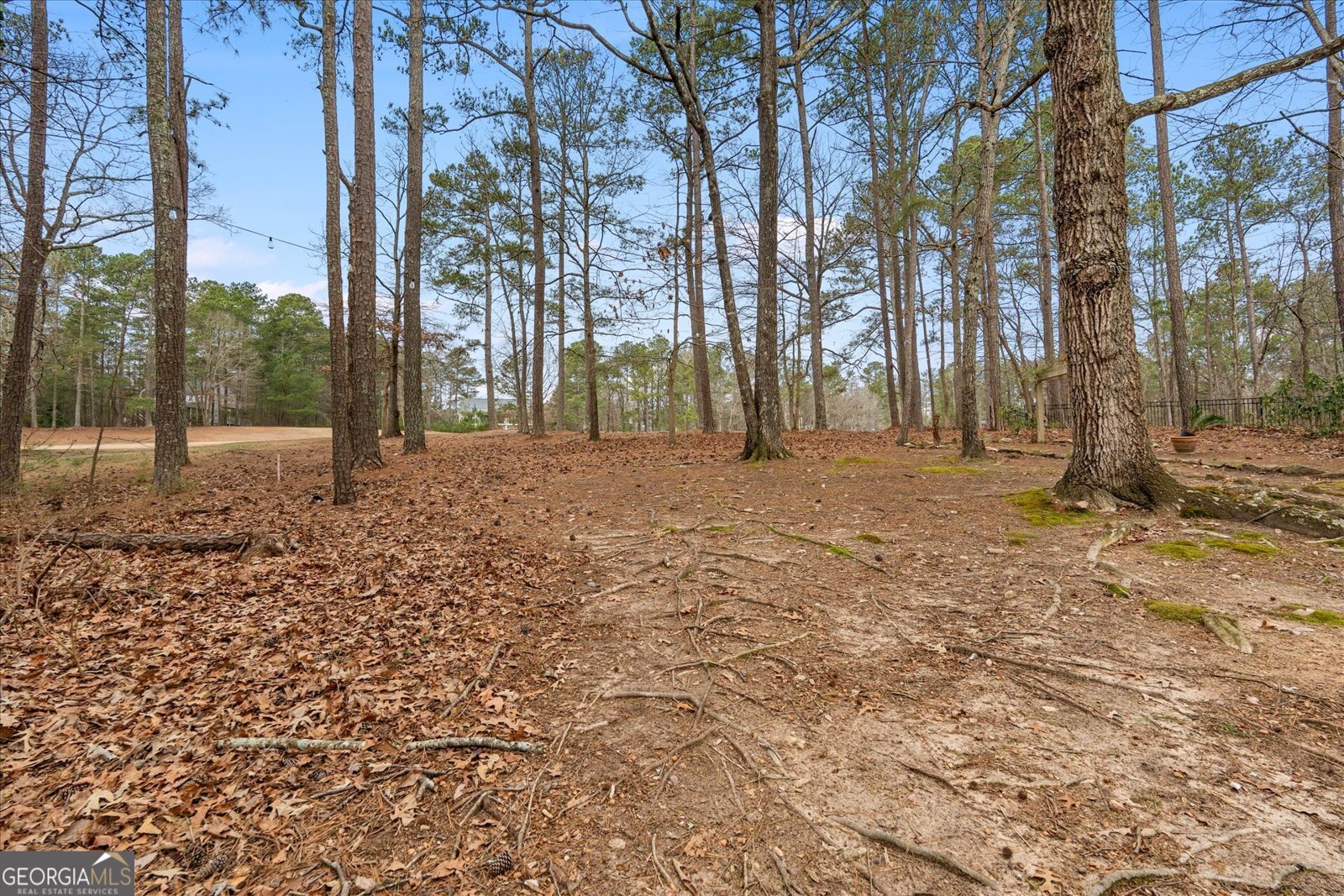 7349 Mitchell Court Villa Rica - Photo 45