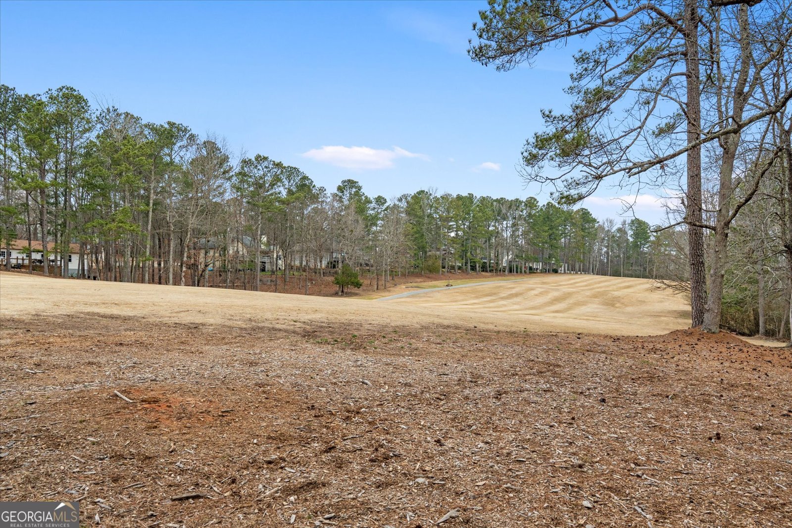 7349 Mitchell Court Villa Rica - Photo 47