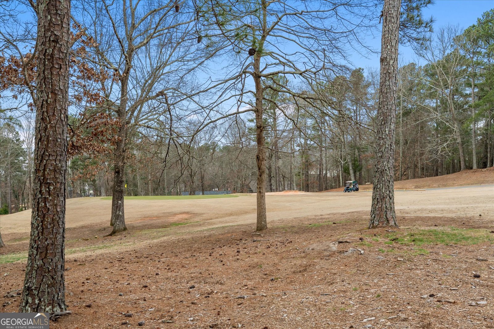 7349 Mitchell Court Villa Rica - Photo 48