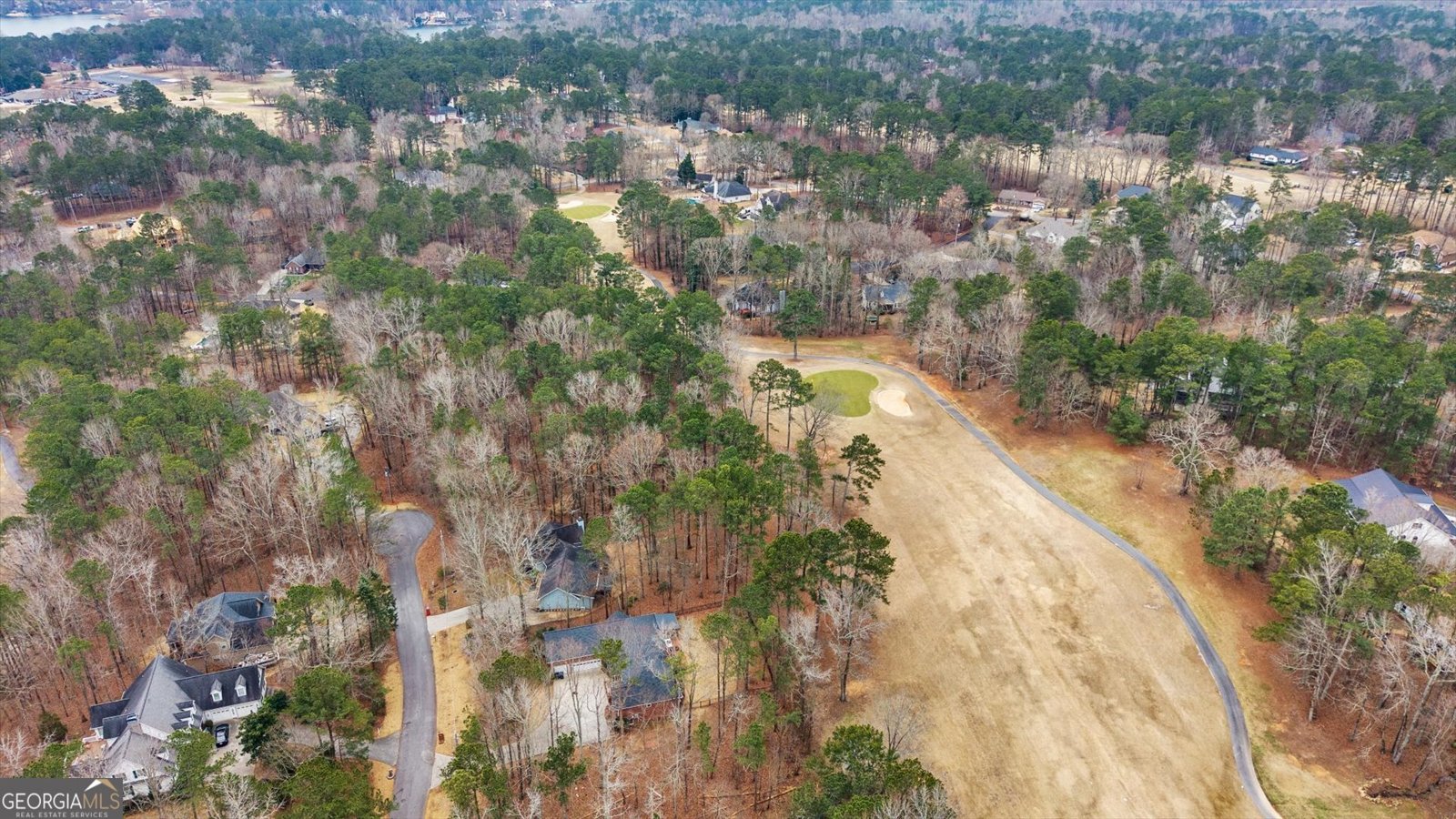 7349 Mitchell Court Villa Rica - Photo 55