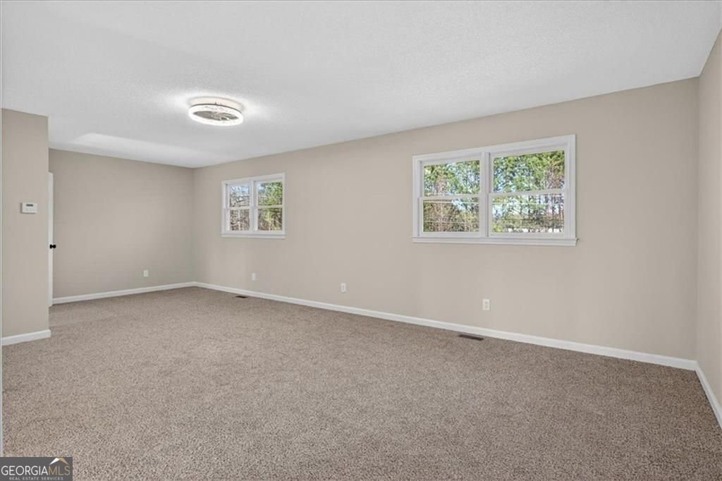 942 Old Batesville Road Canton - Photo 49