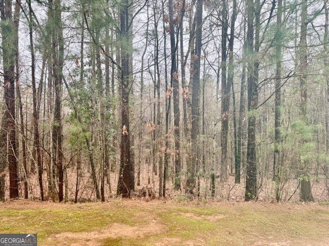 4433 Watson Ridge Drive Stone Mountain - Photo 51