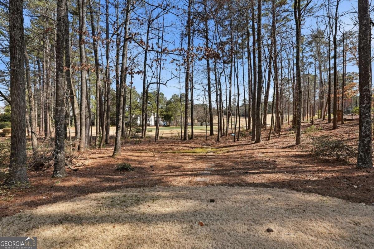 5430 Laurel Oak Drive Suwanee - Photo 60