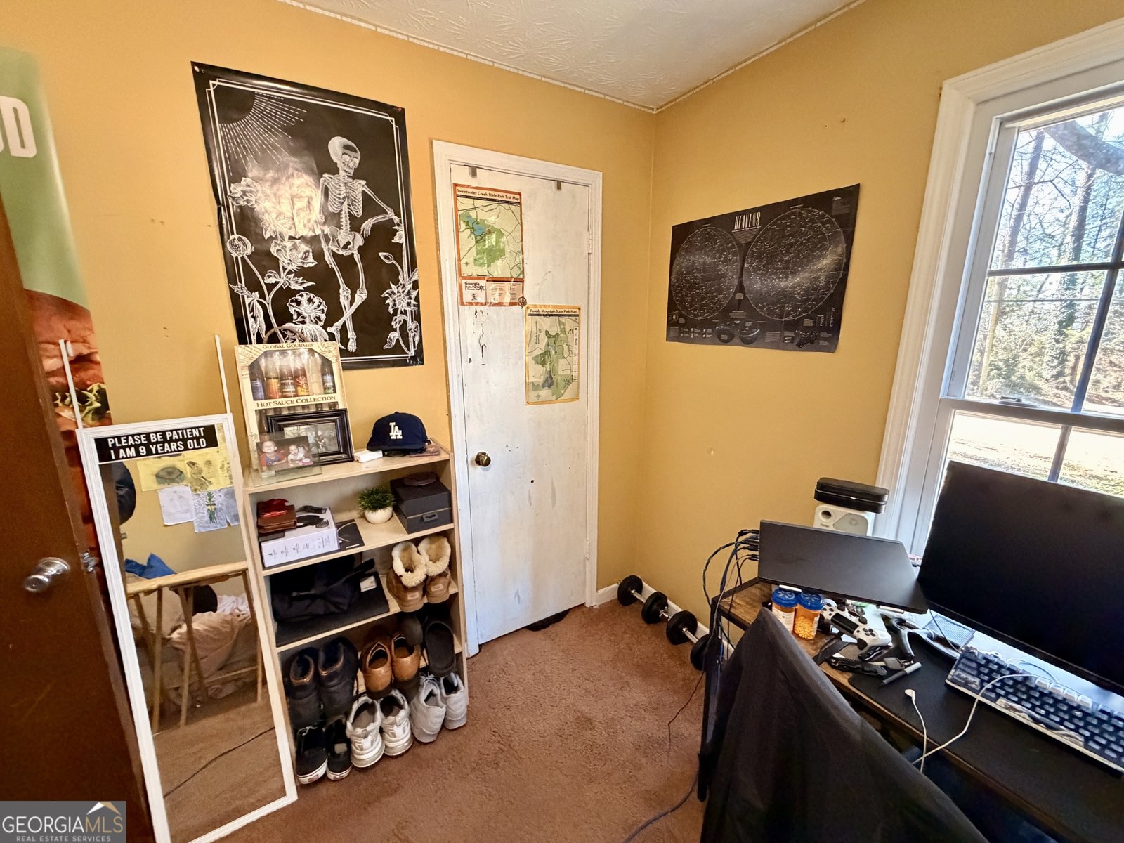 4320 Cary Drive Snellville - Photo 24