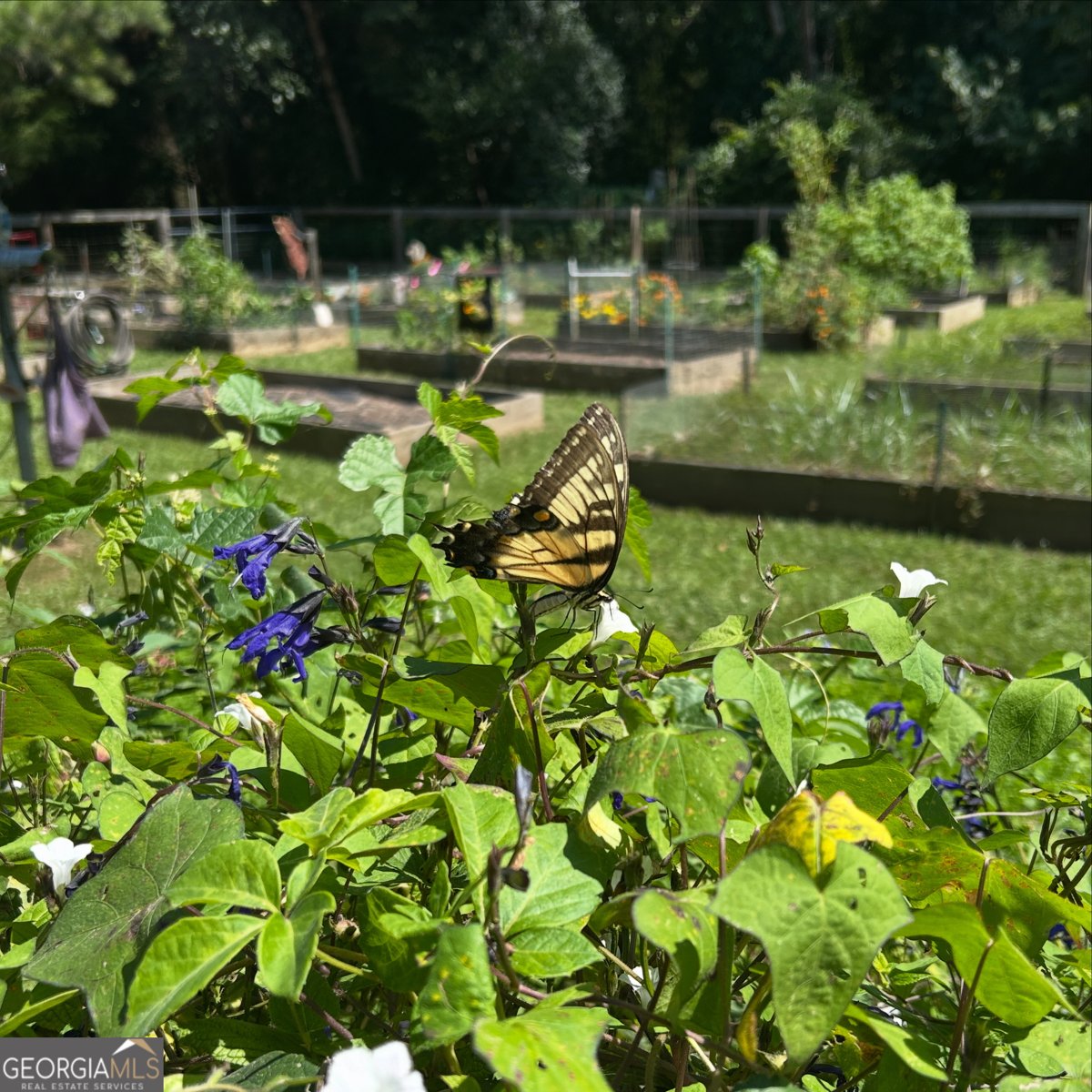 4320 Cary Drive Snellville - Photo 33