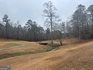 159 River North Boulevard Macon - Photo 34