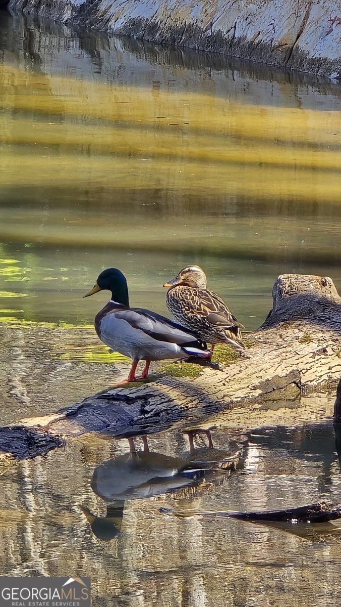 225 Tanager Ct Monticello - Photo 49