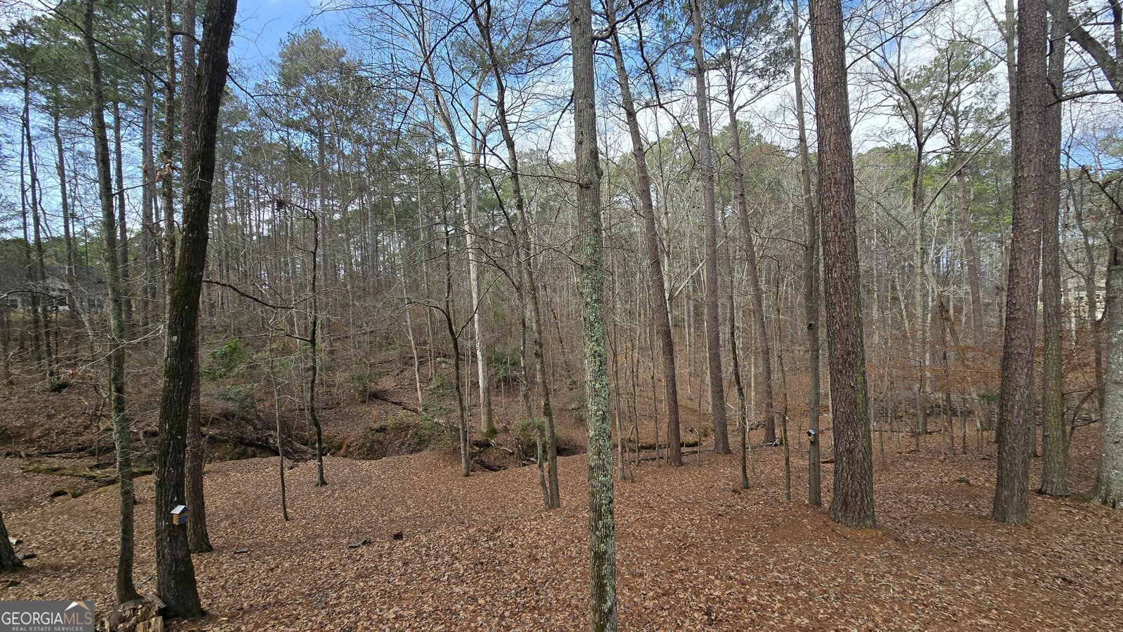 225 Tanager Ct Monticello - Photo 53