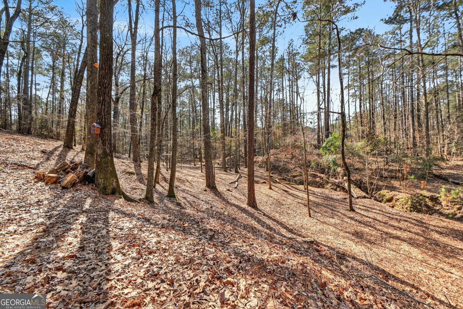 225 Tanager Ct Monticello - Photo 54