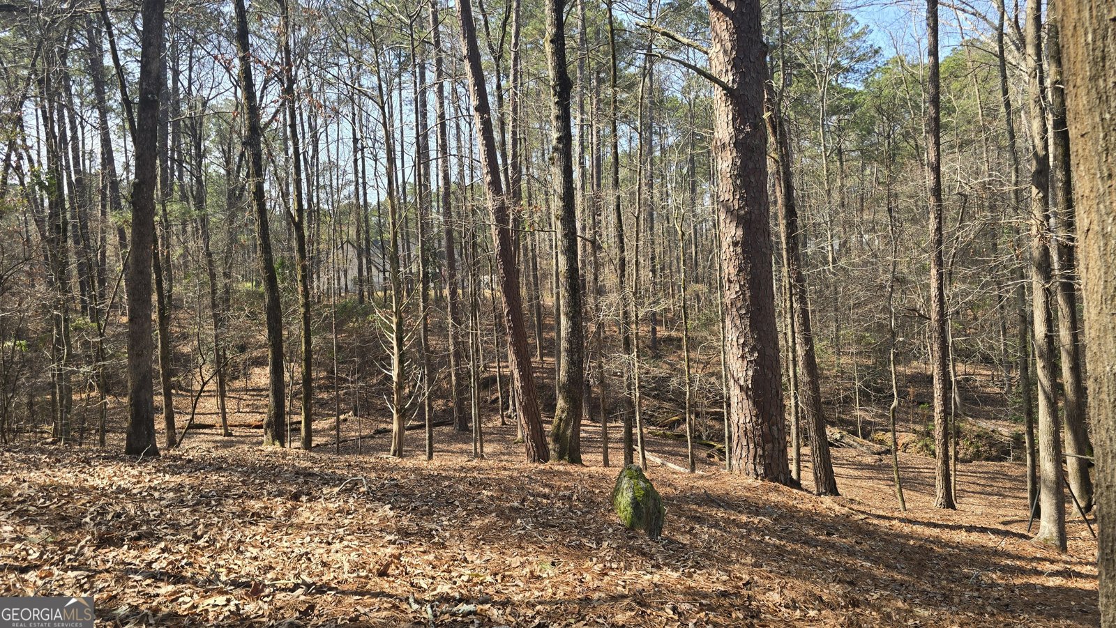 225 Tanager Ct Monticello - Photo 55