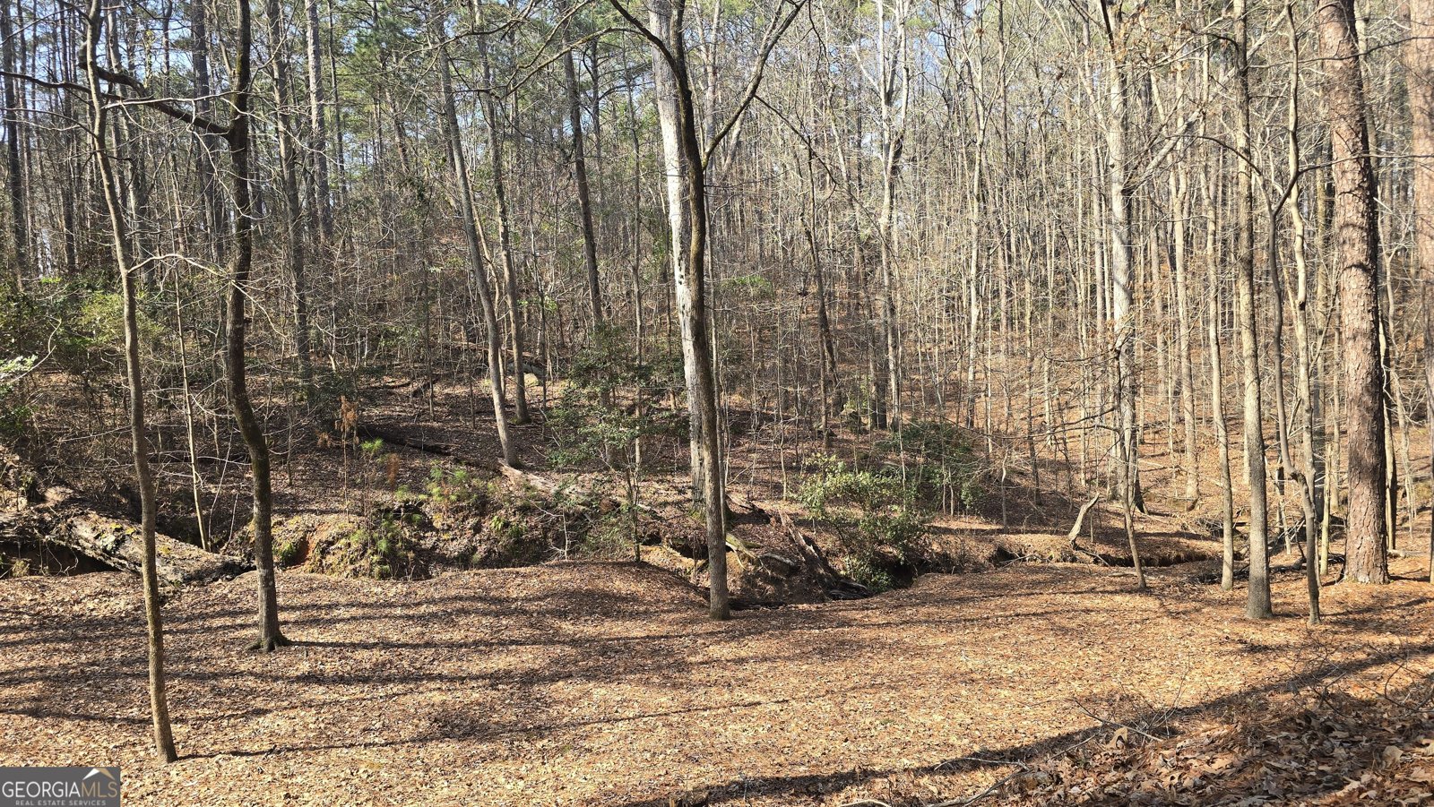 225 Tanager Ct Monticello - Photo 56