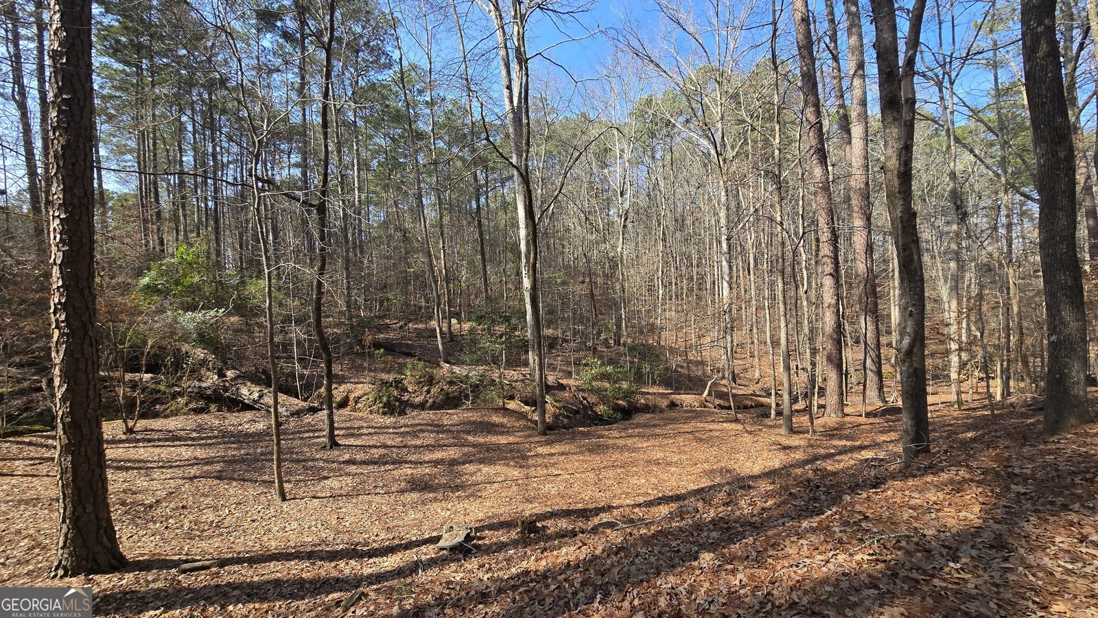 225 Tanager Ct Monticello - Photo 57