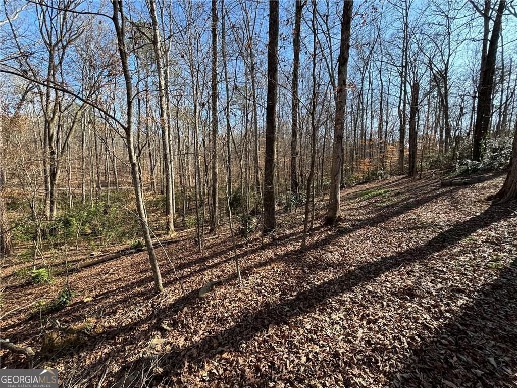 183 Barker Road Rome - Photo 14