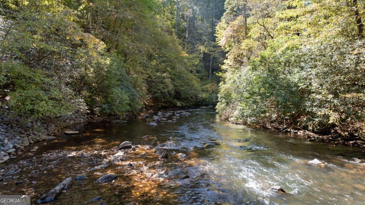 1062 River Bend Road Ellijay - Photo 73