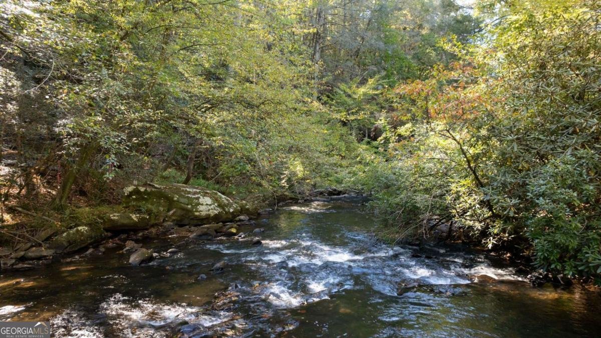 1062 River Bend Road Ellijay - Photo 74