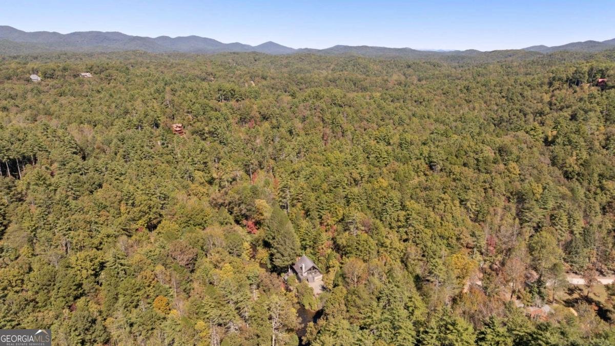 1062 River Bend Road Ellijay - Photo 78