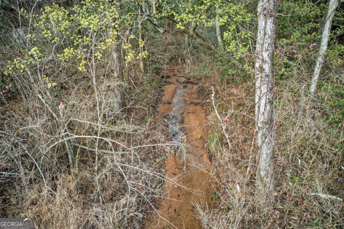 496 John Crow Road Dahlonega - Photo 56