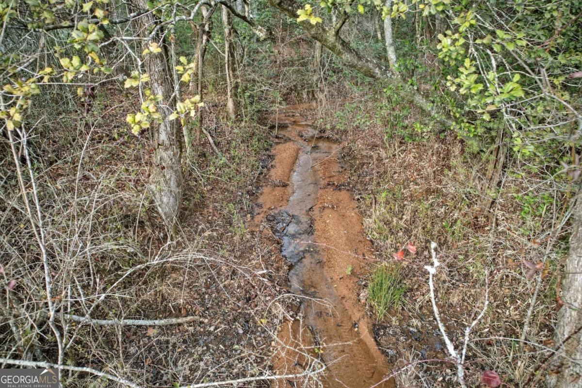 496 John Crow Road Dahlonega - Photo 57