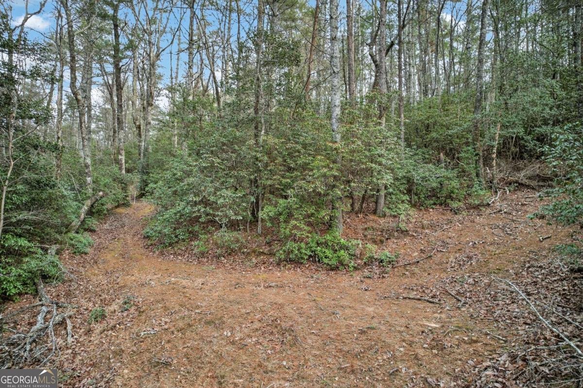 496 John Crow Road Dahlonega - Photo 60