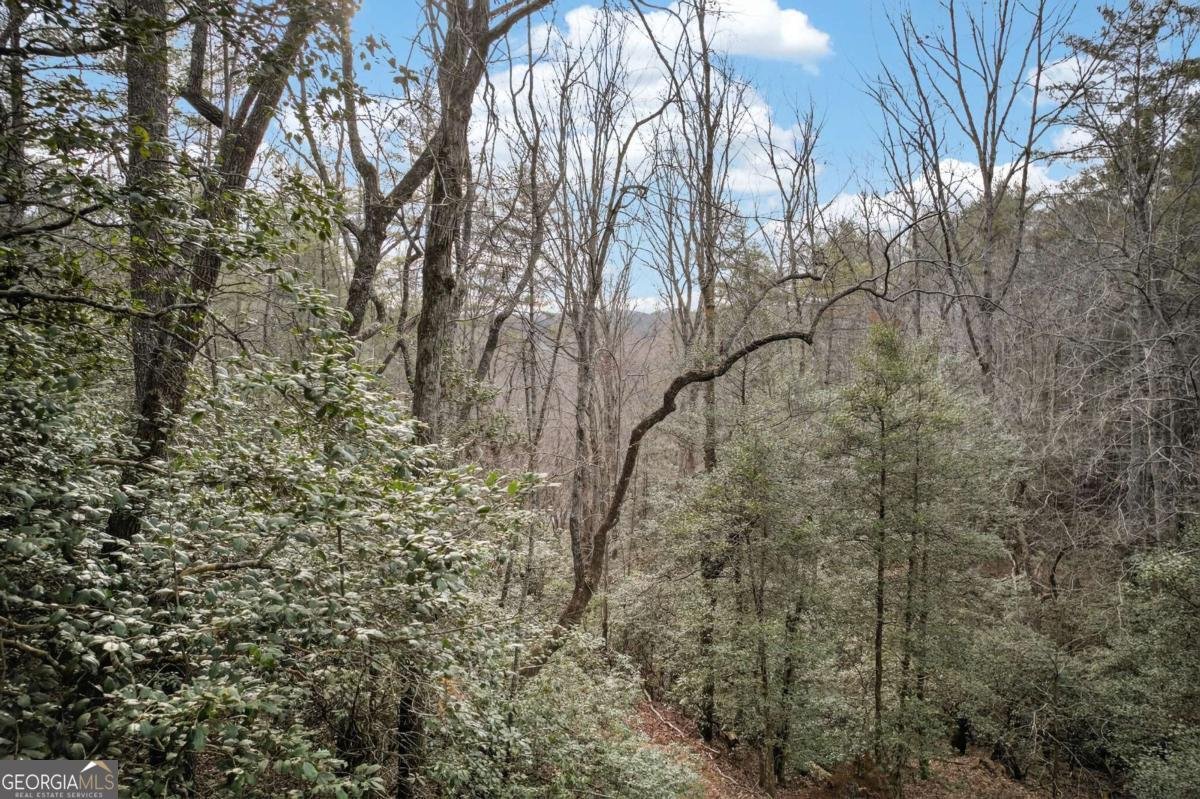 496 John Crow Road Dahlonega - Photo 62