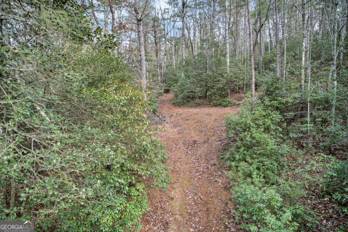 496 John Crow Road Dahlonega - Photo 63