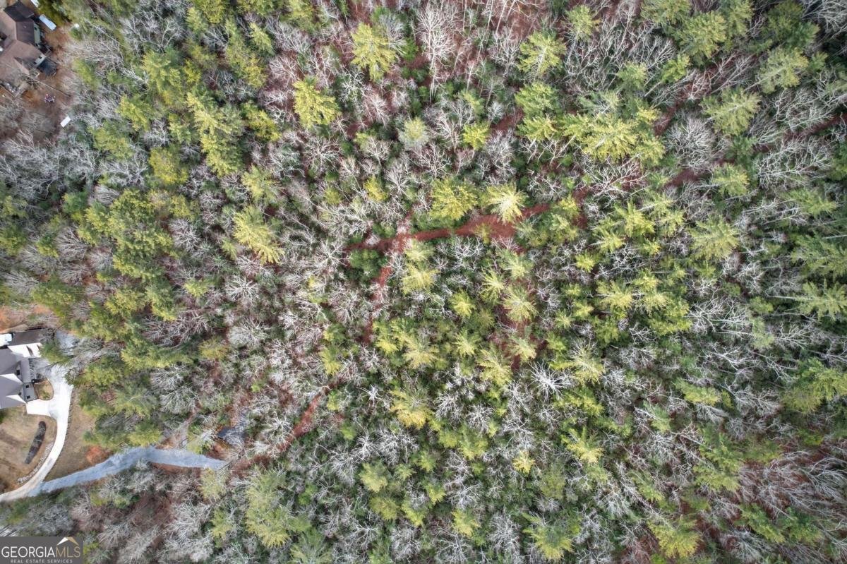 496 John Crow Road Dahlonega - Photo 64