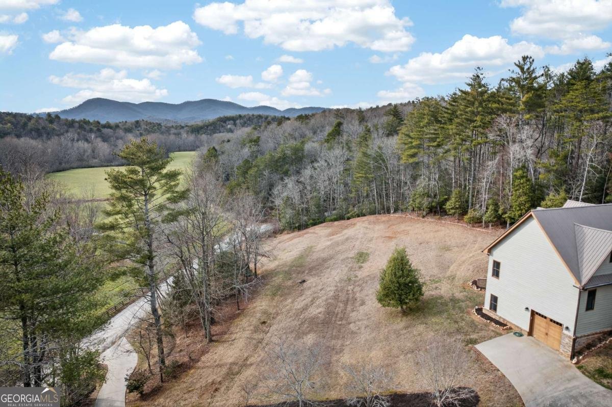 496 John Crow Road Dahlonega - Photo 71