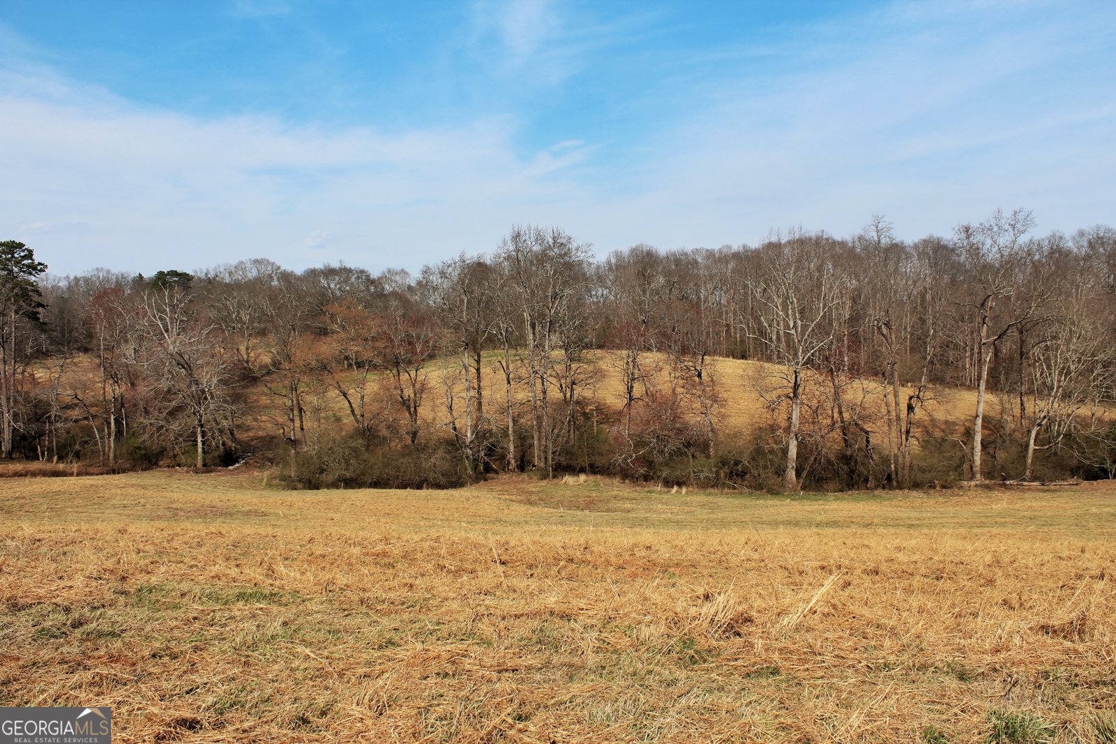 3794 Highway 106 Danielsville - Photo 11