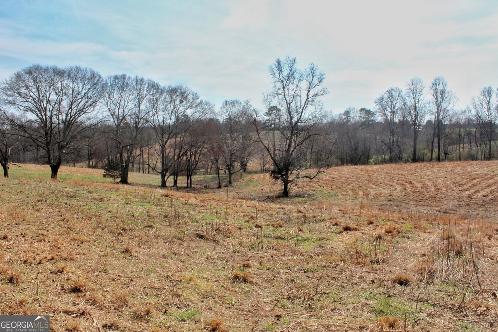 3794 Highway 106 Danielsville - Photo 12