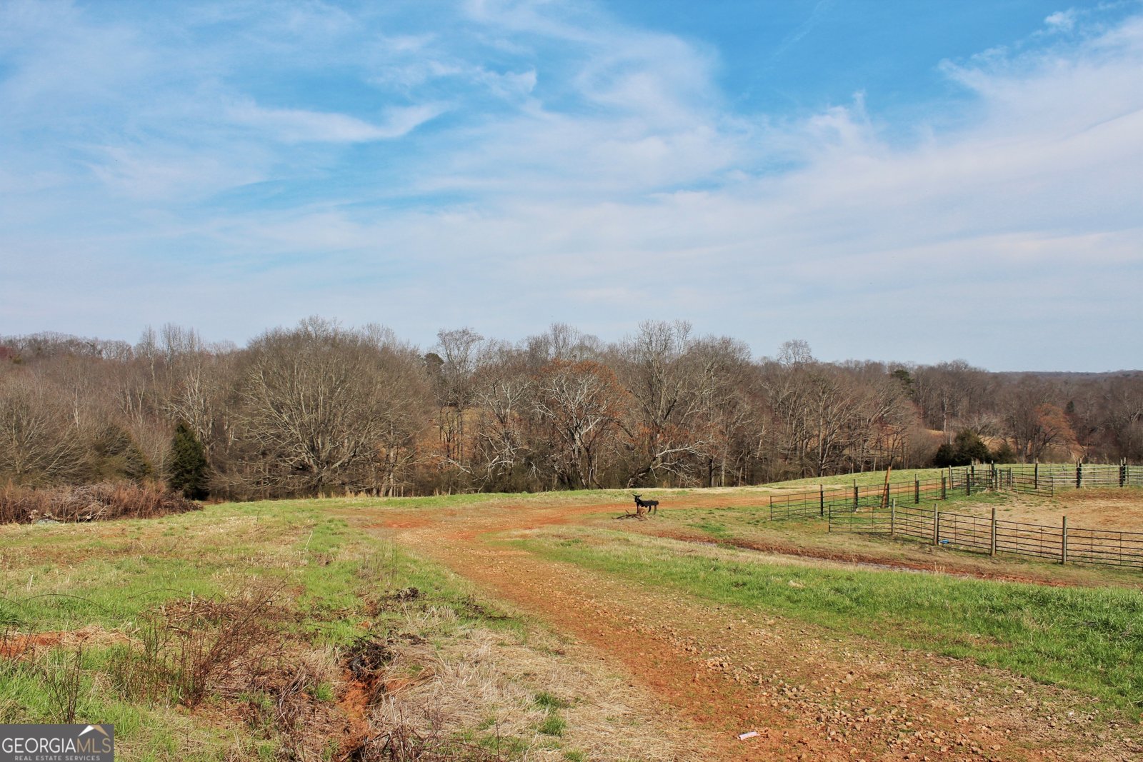 3794 Highway 106 Danielsville - Photo 13