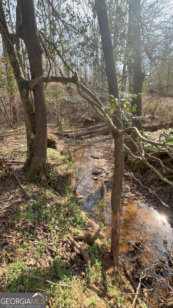 3794 Highway 106 Danielsville - Photo 14