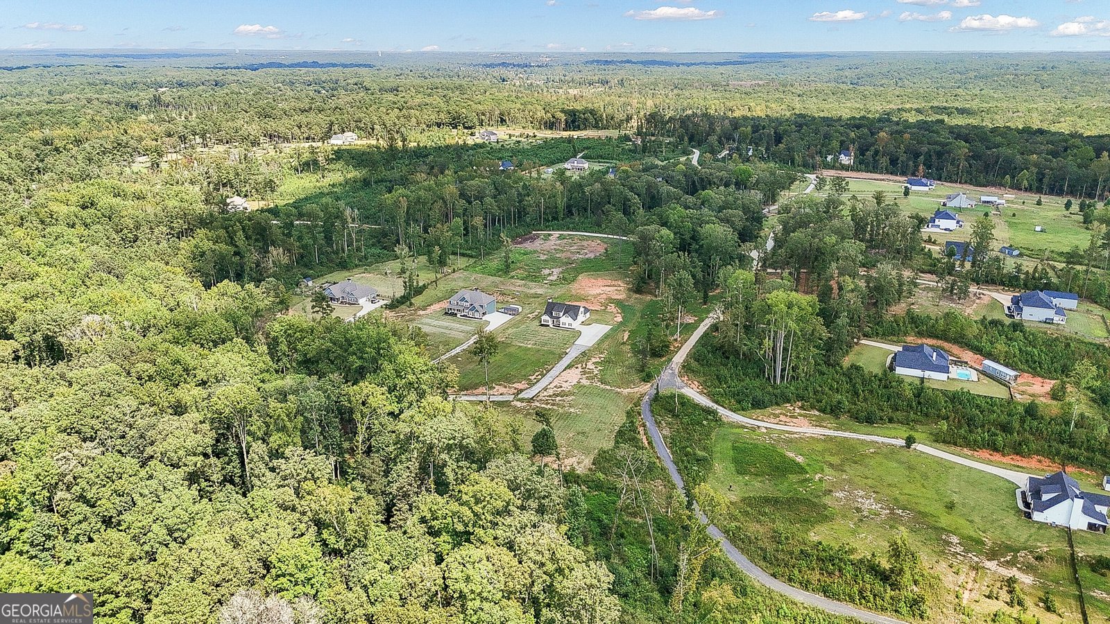 150 Wild Boar Way Newnan - Photo 59