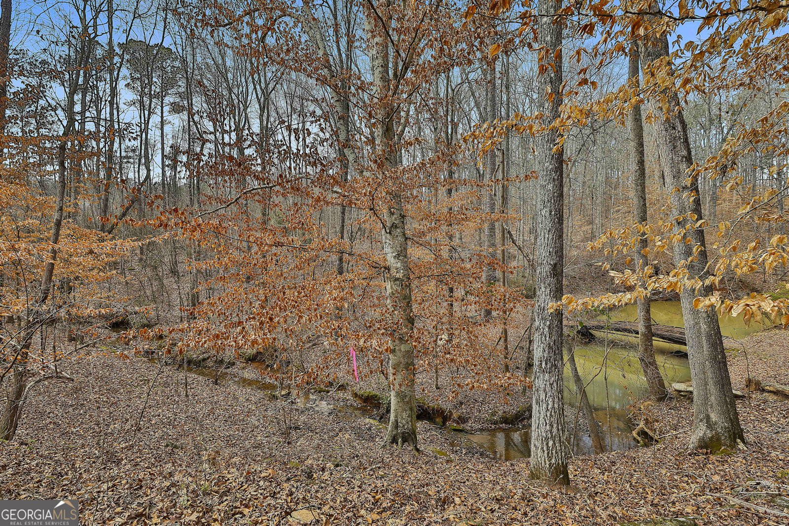 124 Wilmington Court Newnan - Photo 38