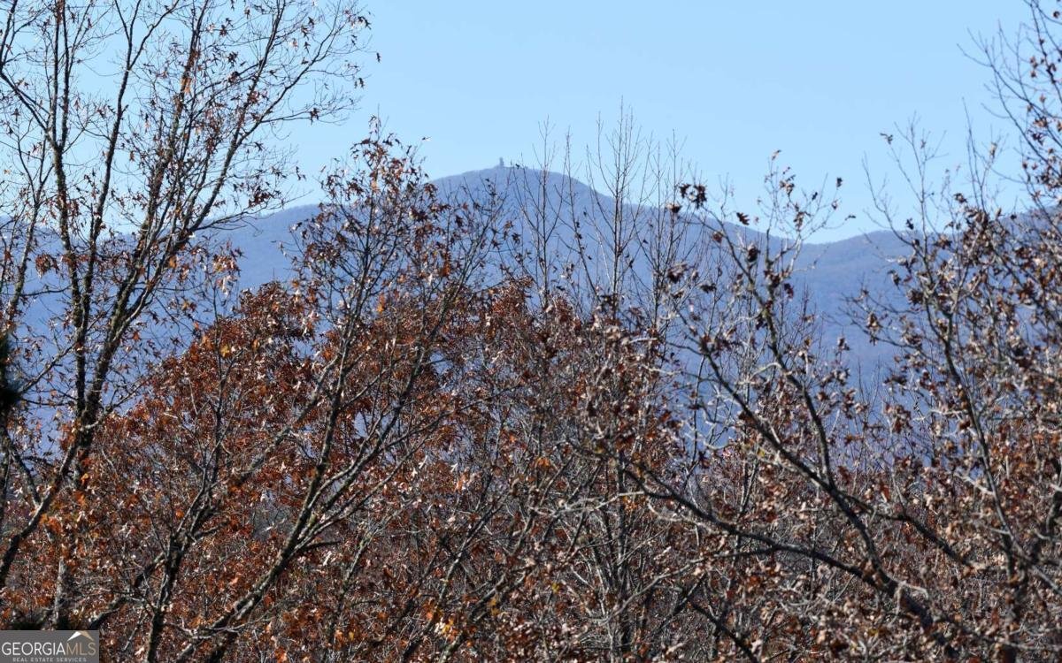 1701 Victoria Woods Drive Hiawassee - Photo 48