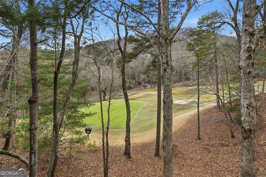 10 Chestnut Knoll Point Jasper - Photo 42