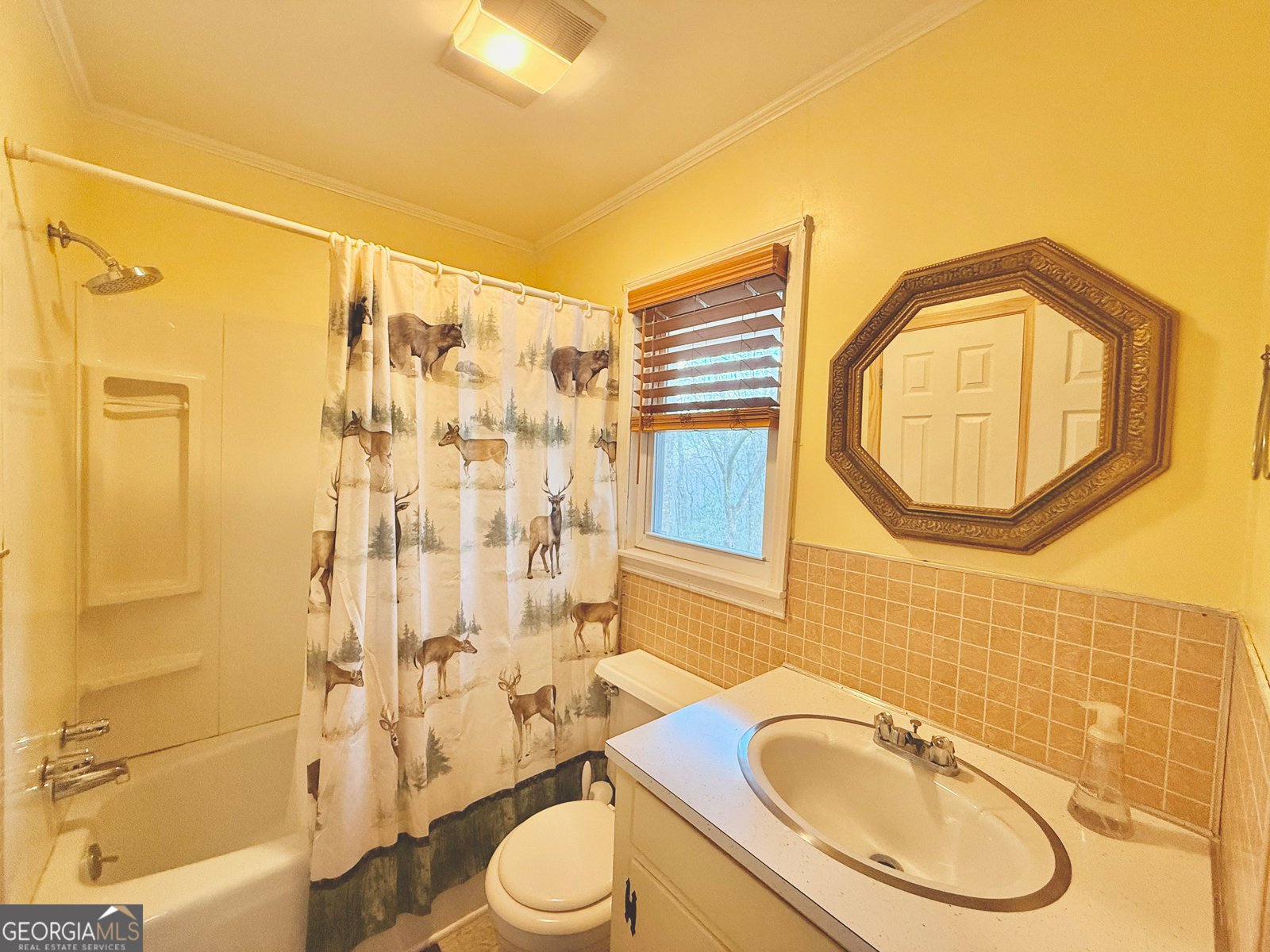 130 Ivy Trail Rabun Gap - Photo 7