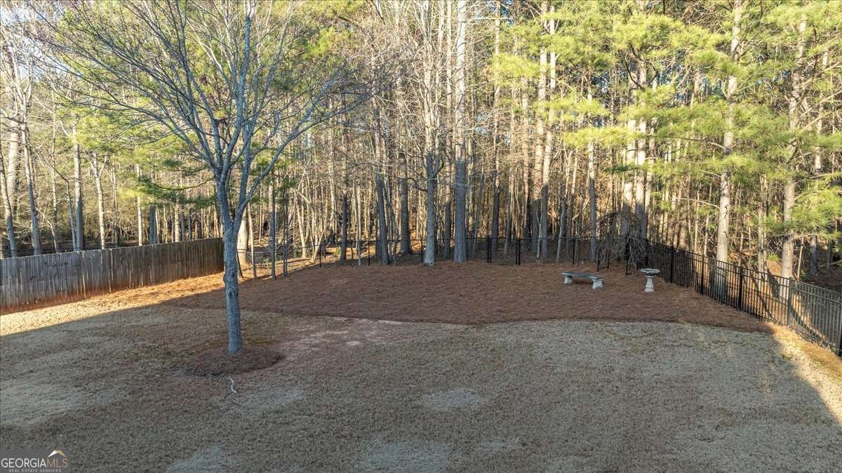 1542 Meadow Springs Drive Watkinsville - Photo 36