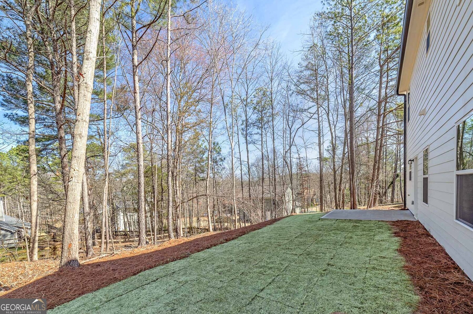 355 Brookwood Drive Dawsonville - Photo 22