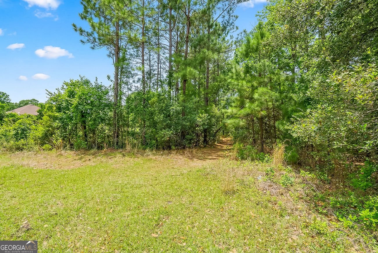 3 Explorer Court Savannah - Photo 25